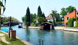 vignole